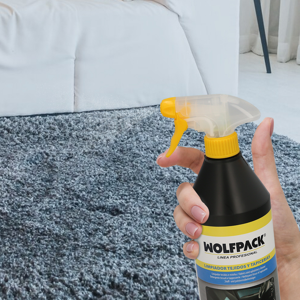 Limpiador Tejidos y Tapicerias Coches y Hogar 750 ml. otras aplicaciones