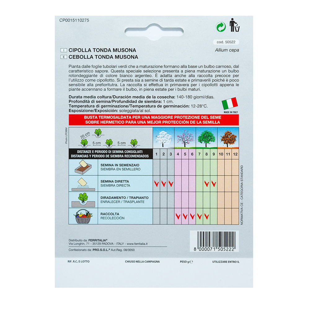 Semillas huerto-cebolla blanca (allium cepa)