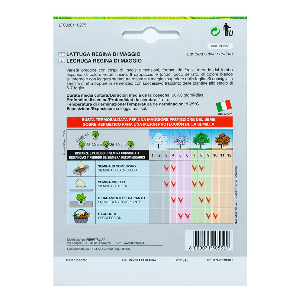 Semillas huerto-lechuga reina de mayo (lactuca sativa capitata)