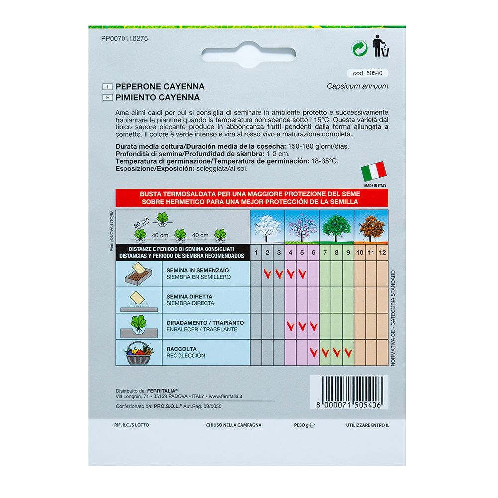 Semillas huerto-pimiento cayena picante guindilla (capsicum annuum)