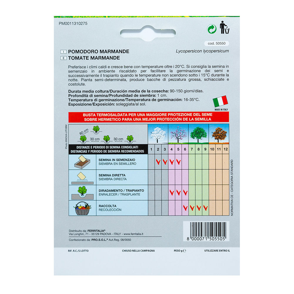 Semillas Tomate Raf (1.5 gramos)