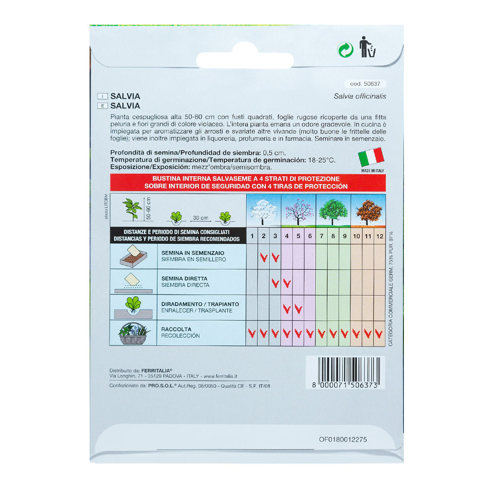 Semillas Aromaticas Salvia (1 gramo)