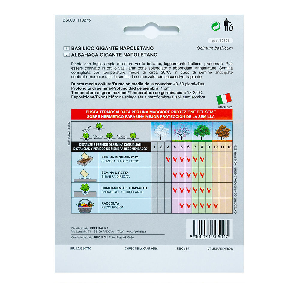 Semillas Aromáticas Albahaca Gigante (5 gramos)