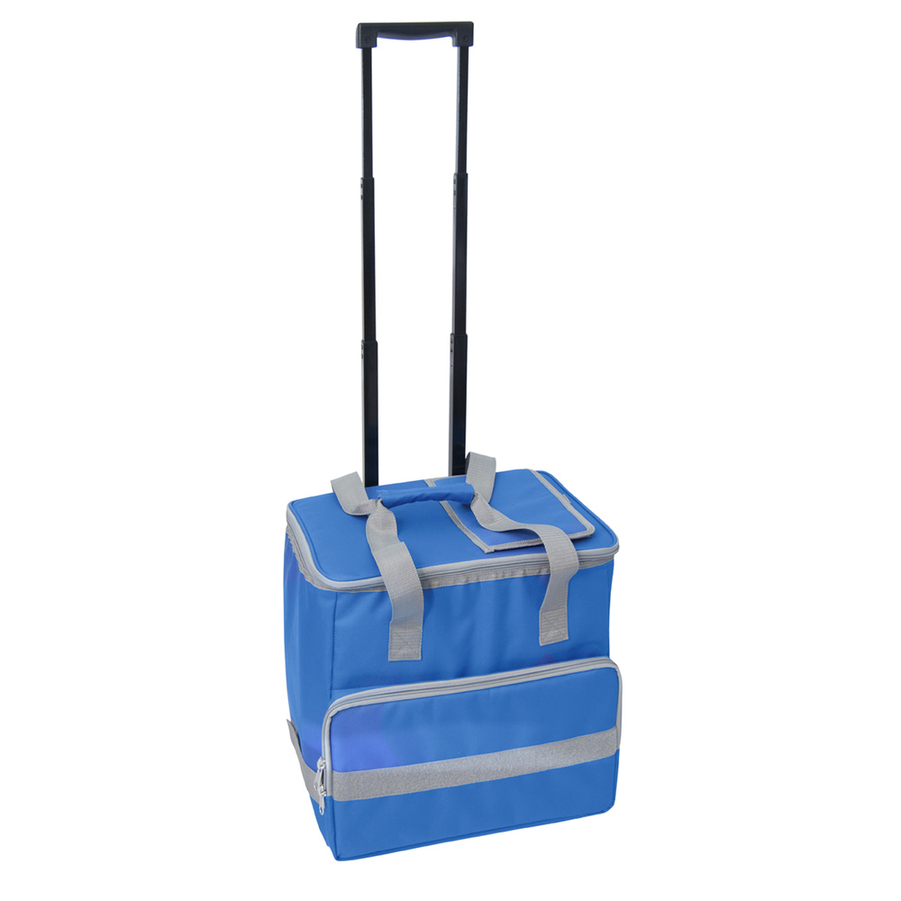 Nevera bolsa termica frente