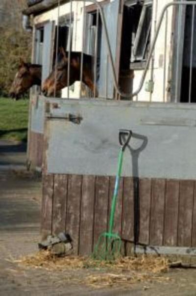 HORCA FYNA-LITE PAJA 85 CM MANGO METAL ASA D PLASTICO