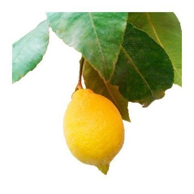 Limon pera
