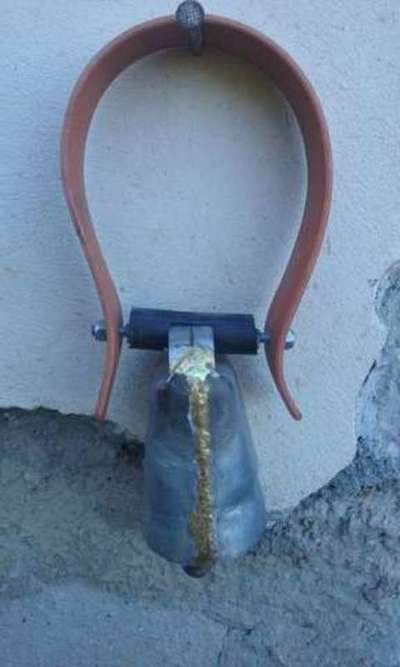 Collar de Cabra (Conjunto) 