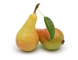 Peral limonera