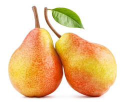 Peral Ercolini